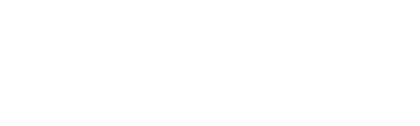 Partner 1