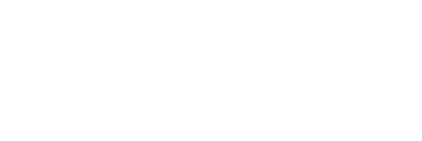 Subsidiary 1
